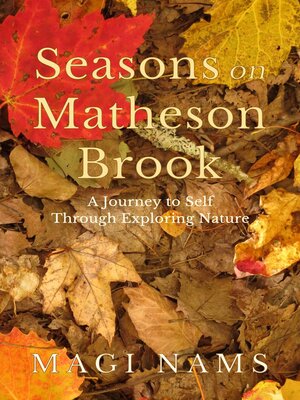 cover image of Seasons on Matheson Brook